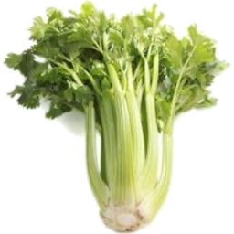 Photo of Celery Whole Bch