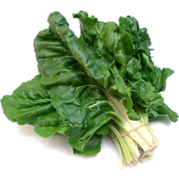 Photo of Silverbeet Bunch 