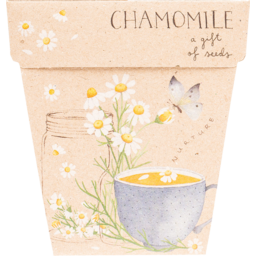 Photo of SOW N SOW Chamomile Gift Of Seeds