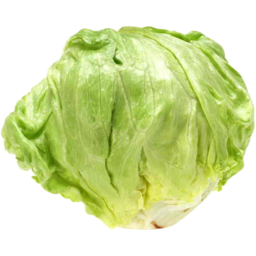 Photo of Lettuce Iceberg Each