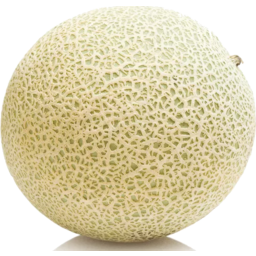 Photo of Melon - Rockmelon