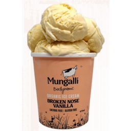 Photo of Mungalli Organic Vanilla Ice Cream
