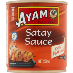 Photo of Ayam Satay Sauce Mild