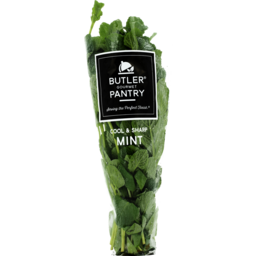 Photo of Butler Gourmet Pantry Herbs Mint Each