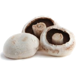 Photo of Mushrooms White Cup