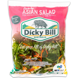 Photo of Dicky Bill Asian Salad Kit 330 G