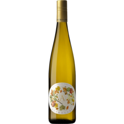 Photo of Astrolabe Pinot Gris