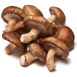 Photo of Shitake Mushroom 100gm