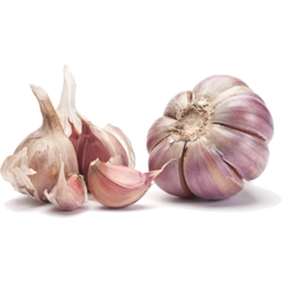 Photo of garlic