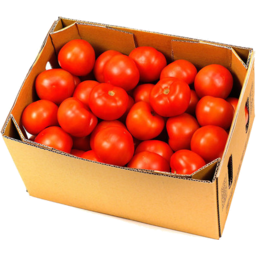 Photo of Tomatoes round box Medium