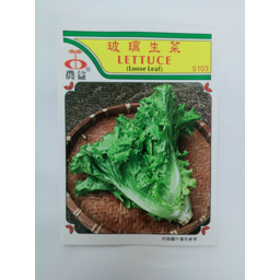 Photo of Seeds Glassy Lettuce 5103