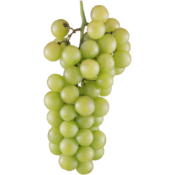 Photo of Grapes White Seedless Kg