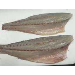 Photo of Local Fillets Mulloway Kg