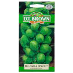 Photo of Seeds Brussels Sprout 500 Seeds