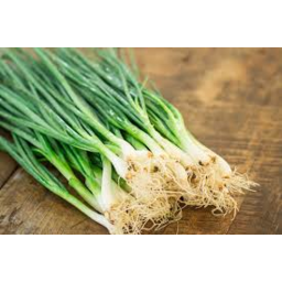 Photo of Spring Onion - Shallot Each