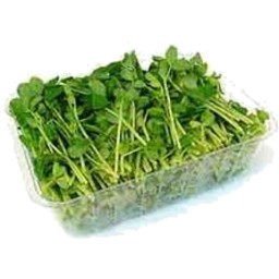 Photo of Snow Pea Sprouts 100gm