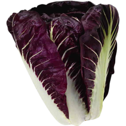Photo of Lettuce Radiccio Organic