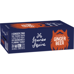 Photo of James Squire Ginger Beer Can 330ml 24 Pack