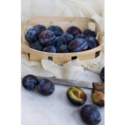 Photo of Plums Angelino In Tray