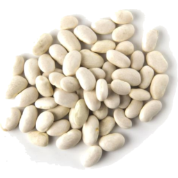 Photo of Great Northern Beans