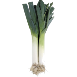 Photo of Leeks Bunch