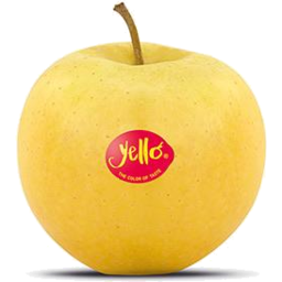 Photo of Apples Yello Kg