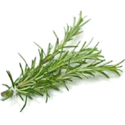 Photo of Herbs Rosemary 10g