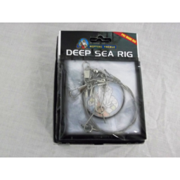 Photo of Deep Sea Rig Neptune
