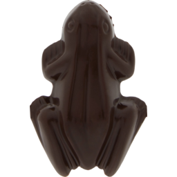 Photo of Dark Chocolate - 'Frogs'