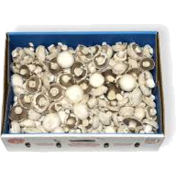 Photo of Box Mushrooms Cup