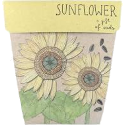 Photo of Gift Of Seeds Sunflower