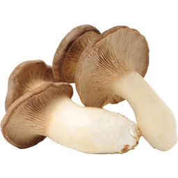 Photo of Mushrooms King Brown Kg