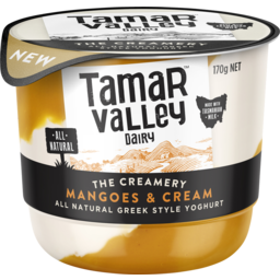 Photo of T/Valley Yoghurt Mango&Cream 170gm