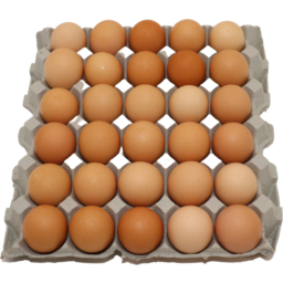Photo of Eggs - Tray 30's