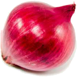 Photo of Onions Red Spanish