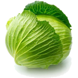 Photo of Cabbage Green Each