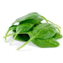 Photo of Loose Baby Spinach Leaf Kg