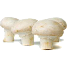 Photo of Mushrooms - Medium White Button 