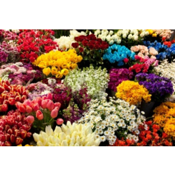 Photo of Flowers $49.99