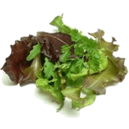 Photo of Salad Mix Kg