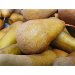Photo of Pears Gold Rush