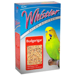 Photo of Whistler Budgerigar