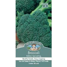 Photo of Mr Fothergills Seeds Broccoli Italian Sprout A
