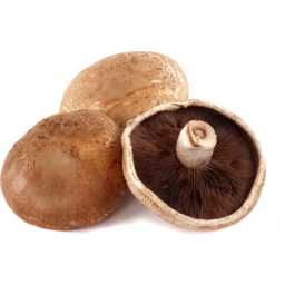 Photo of Mushroom Portobello