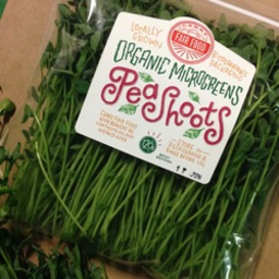 Photo of Organic Microgreens - Pea Shoots