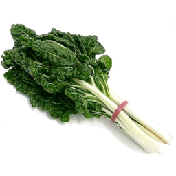 Photo of Silverbeet Bunch
