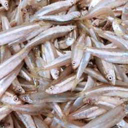 Photo of Central Seafoods Whitebait 1kg