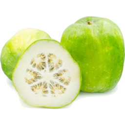 Photo of Winter Melon