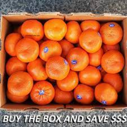 Photo of Box Mandarines Afourer