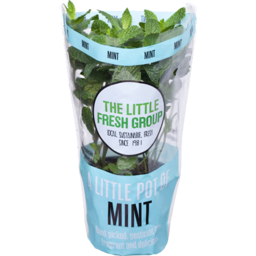 Photo of The Little Fresh Group's Mint Pot